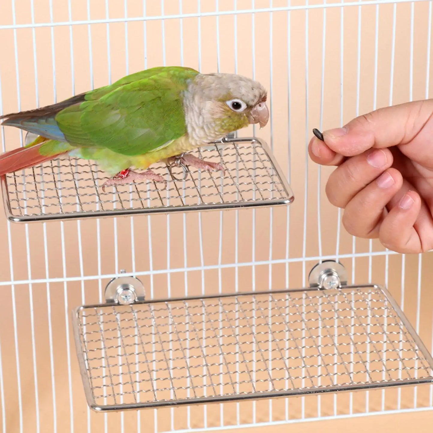 Parrot Perch Stainless Steel Easy to Clean Cage Accessories for Cockatiels Cockatoos Canaries Budgerigars Small to Large Birds