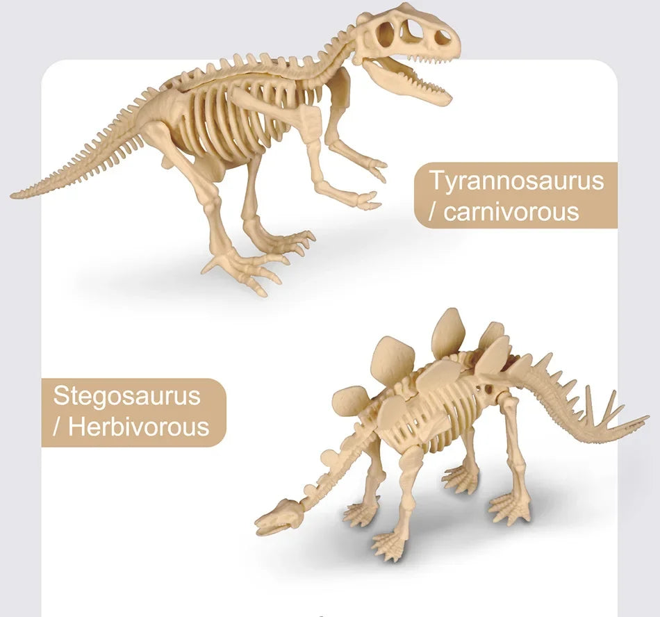 Dinosaur Fossil Excavation Kit for Kids Educational Archaeological Digging Adventure with Realistic Skeleton Models Perfect Gift for Boys and Girls