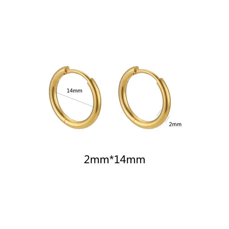 10pcs Stainless Steel Small Hoops Earring Piercing 8-20mm