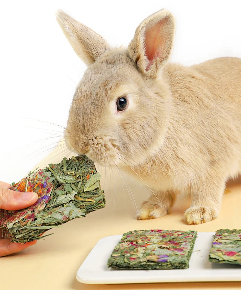 3 pieces Rabbit Chew Chips Mixed Natural Flower Chew Toys For Rabbits Bunny Chinchilla Guinea Pig Hamster Molar Toys