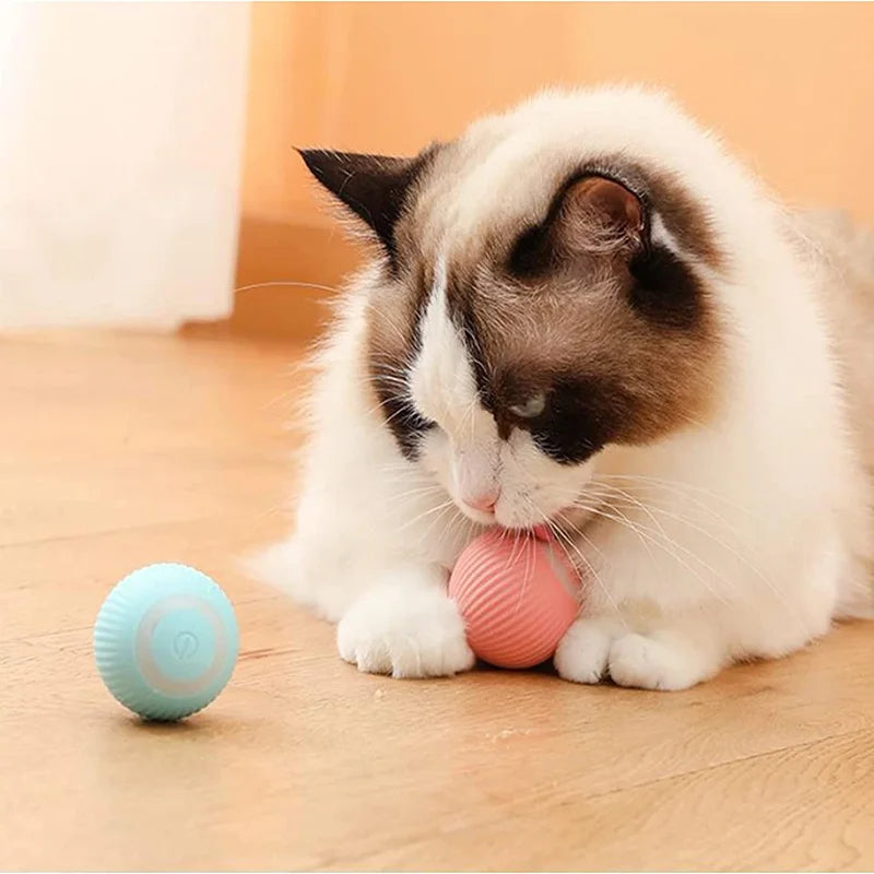 2023 NEW Electric Dog Toys Smart Puppy Ball Toys For Cat Small Dogs Funny Auto Rolling Ball Self-moving Puppy Games Toys Pe