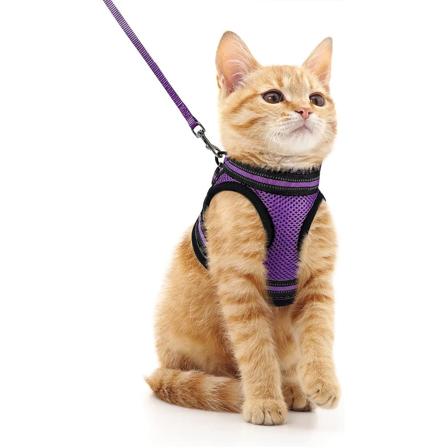 Cat Harness and Leash Set for Walking Escape Proof, Adjustable Soft Kittens Vest with Reflective Strip for Cats, Comfortable Out