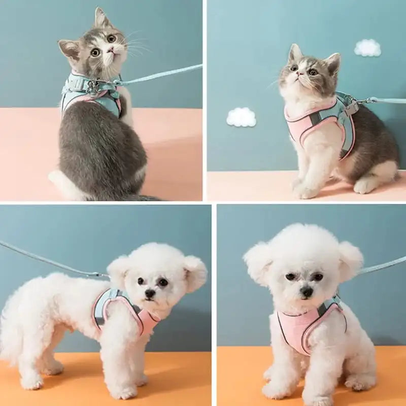 Cat Vest And Belt Kit Pet Traction Rope Harness Leash Collar Adjustable Double Layer Dog Harness Small Pet Outdoor Collar Leash