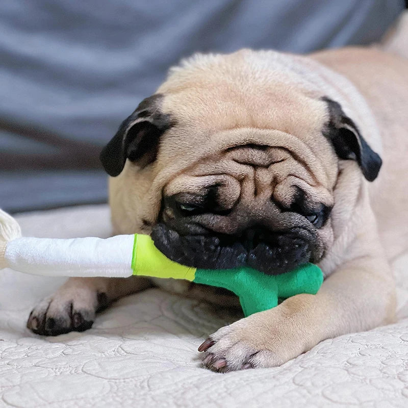 Funny Plush Dog Chew Toys Bite-resistance Small Large Dogs Squeak Sound Toy Teeth Cleaning Puppy Interactive Playing Supplies