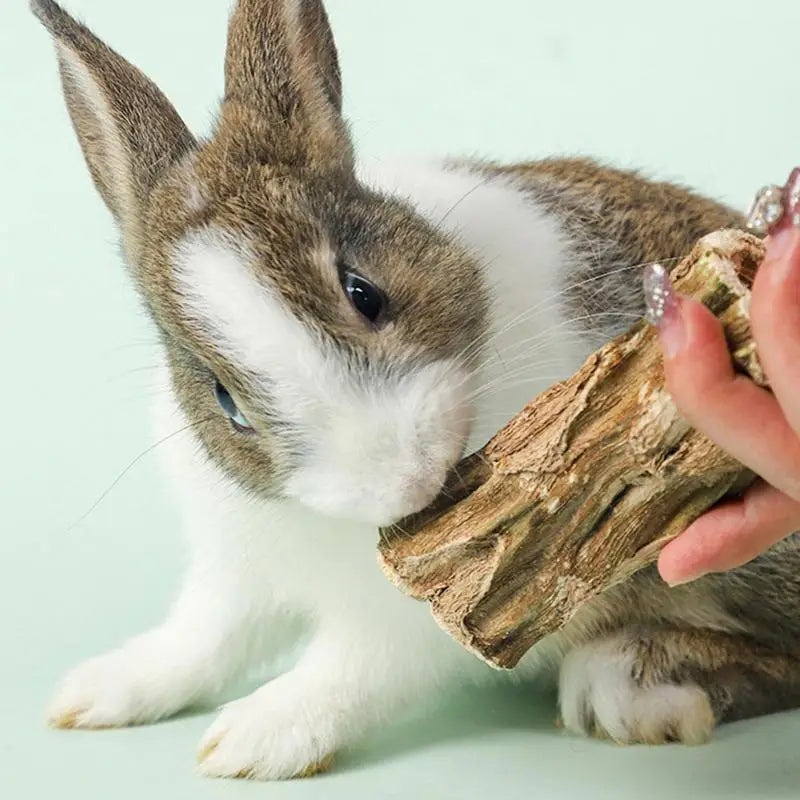 Hamster Chew Sticks 2X Wood Bunny Chewing Treats Natural Papaya Pet Teeth Care Supplies Healthy Teeth Grinding Toys For Indoor