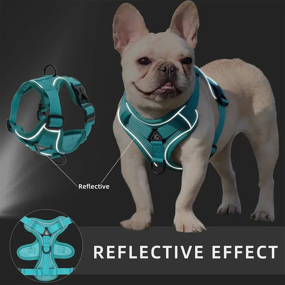 No Pull Dog Harness and Leash Set Adjustable Pet Harness Vest for Small Dogs Cats Reflective Dog Chest Strap Lead Walking