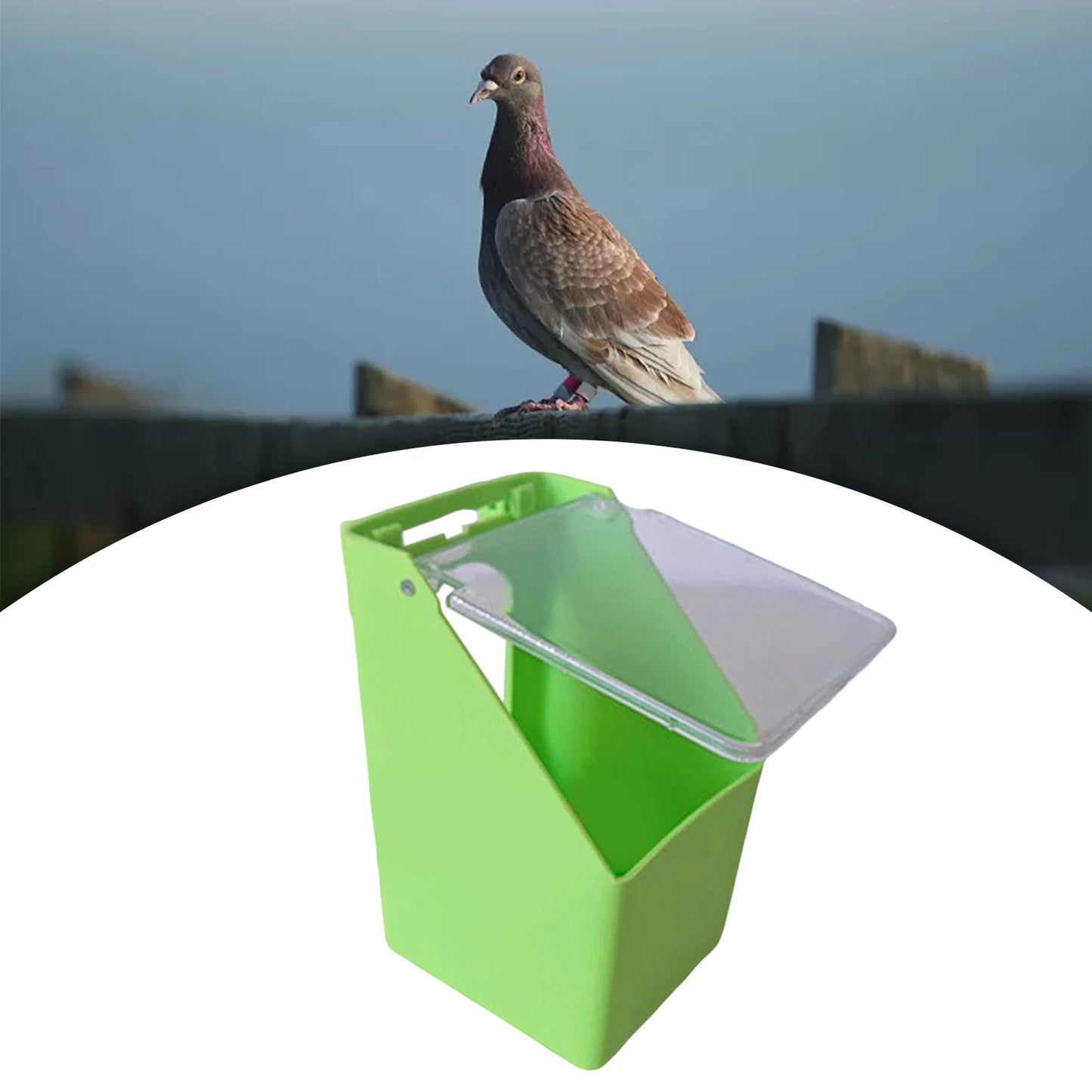 Plastic Birds Water Feeder Hanging Pigeon Food Dispenser Drinker Parrot Feeding Bowl Box for Bird Feeding Supplies