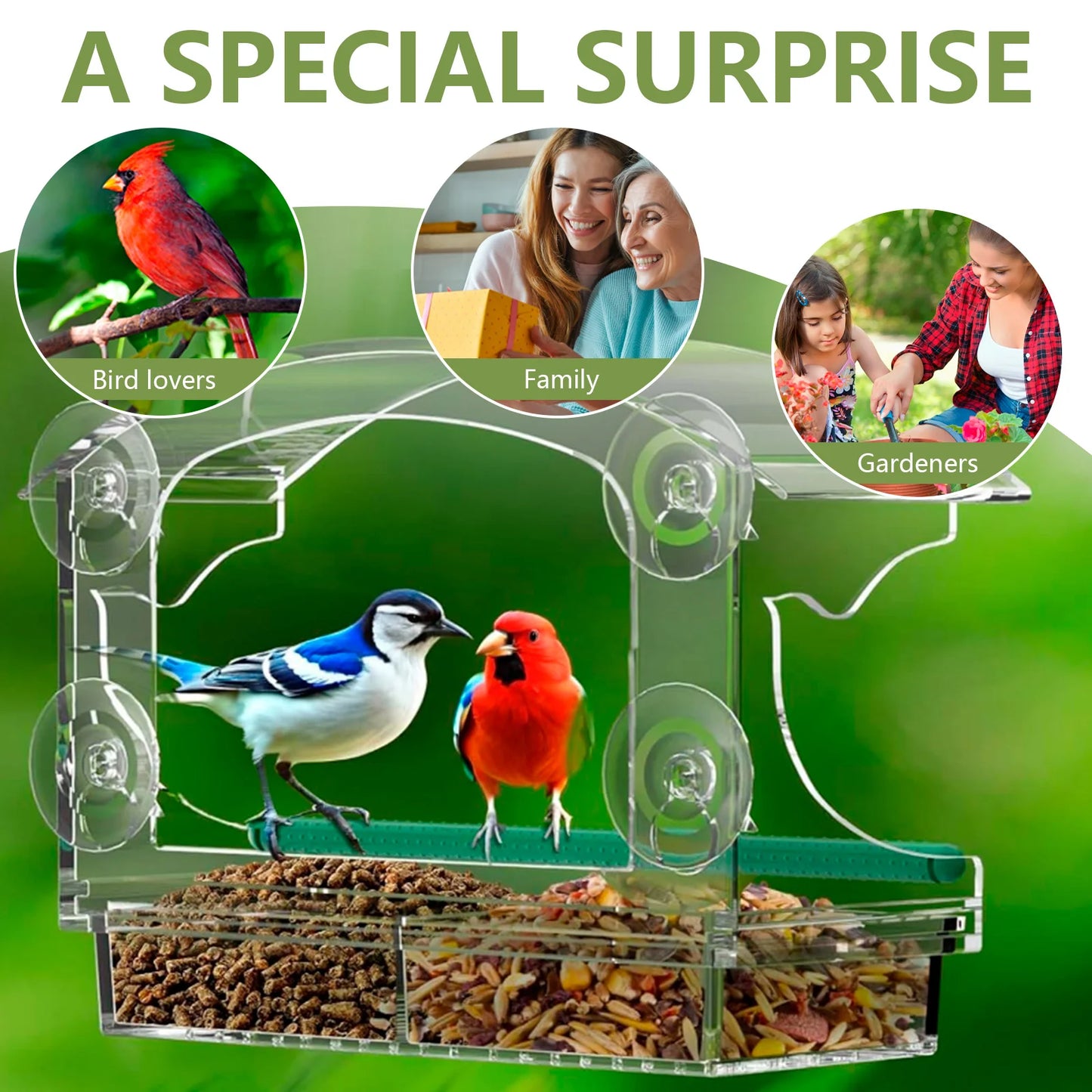 Window Bird Feeder Acrylic Clear Bird House with 4 Suction Cups Large Capacity Outdoor Bird Feeders Transparent Food Dispenser