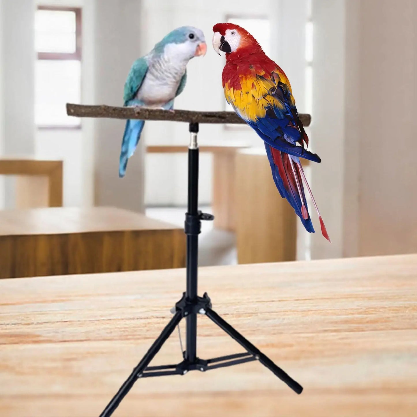Wooden Parrot Perch with Height Adjustable Tripod Stable Exercise Toy Parrot Floor Stand Pet Supplies for Finches Cockatiels