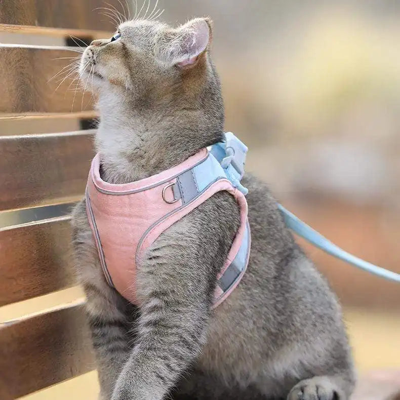 Cat Vest And Belt Kit Pet Traction Rope Harness Leash Collar Adjustable Double Layer Dog Harness Small Pet Outdoor Collar Leash