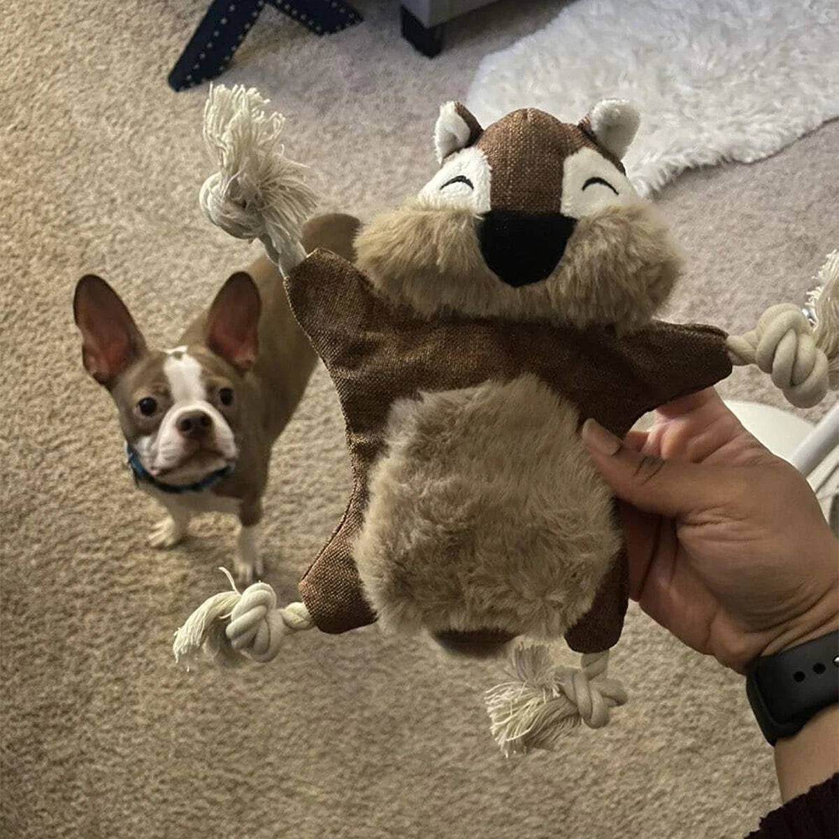 1 squeaky squirrel dog toy - tough chew and teething toy with squeaky sound and knots for aggressive chewers