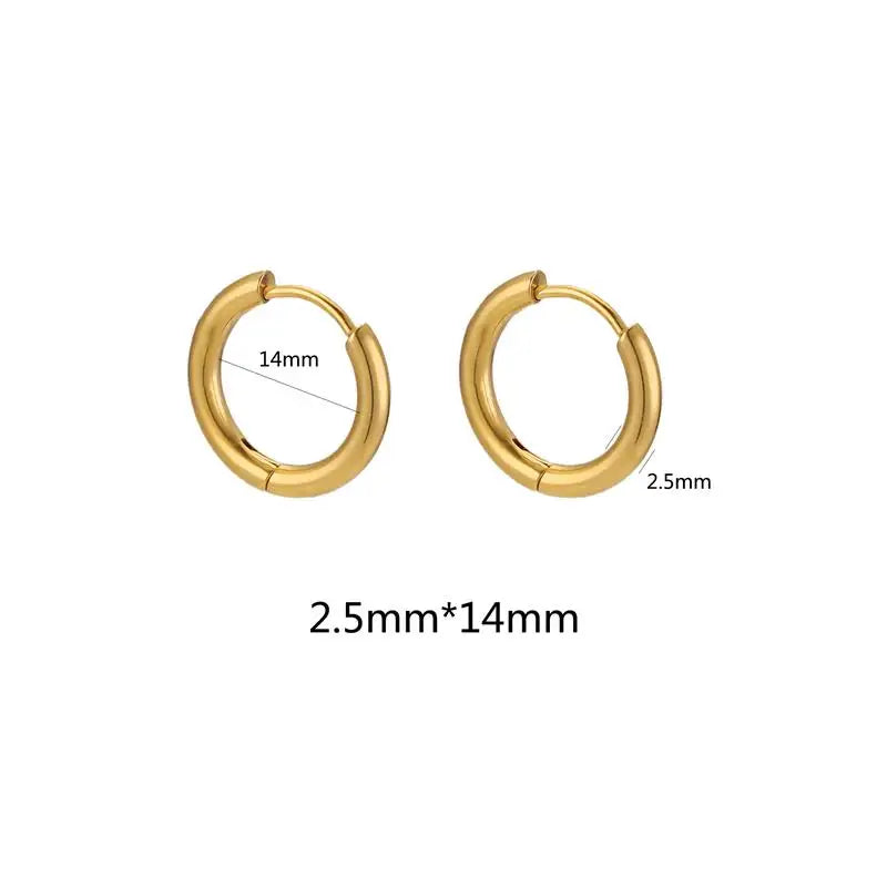 10pcs Stainless Steel Small Hoops Earring Piercing 8-20mm