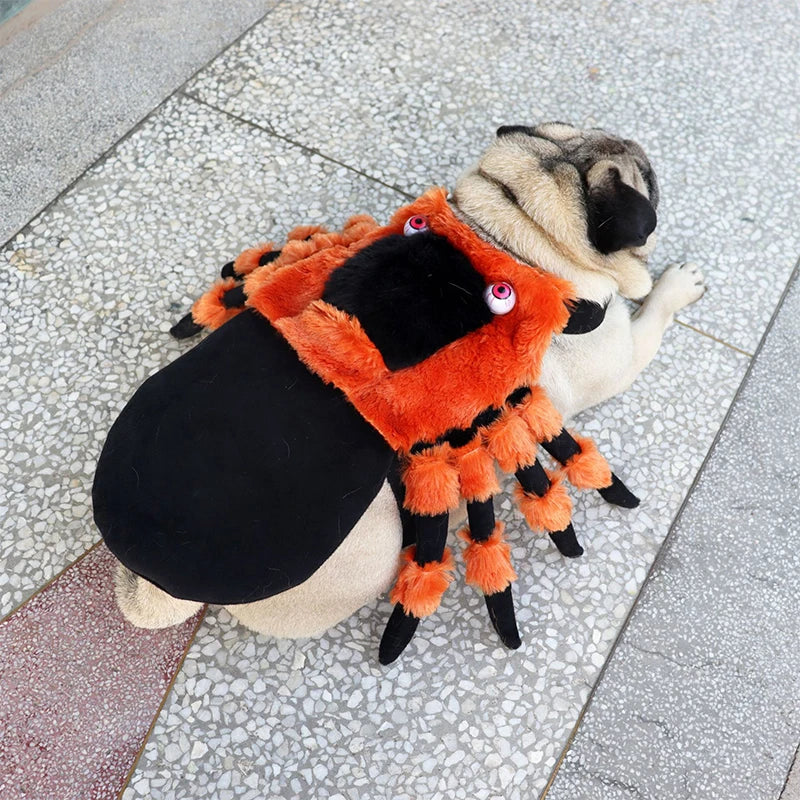 Halloween Cute Pet Clothes Red Eyed Spider Chest Back Transformation Costume Role Playing Cat Dog Halloween Party Pet Supplies