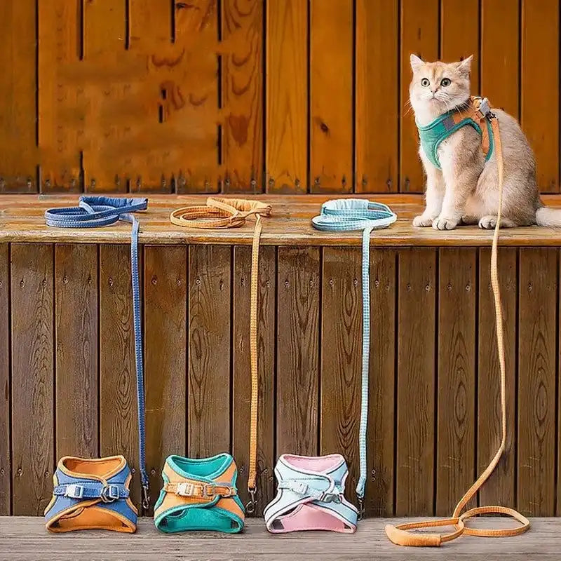 Cat Vest And Belt Kit Pet Traction Rope Harness Leash Collar Adjustable Double Layer Dog Harness Small Pet Outdoor Collar Leash
