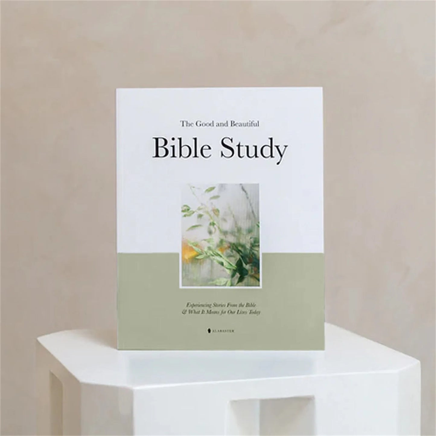 Easter Gift The Good and Beautiful Bible Study Book
