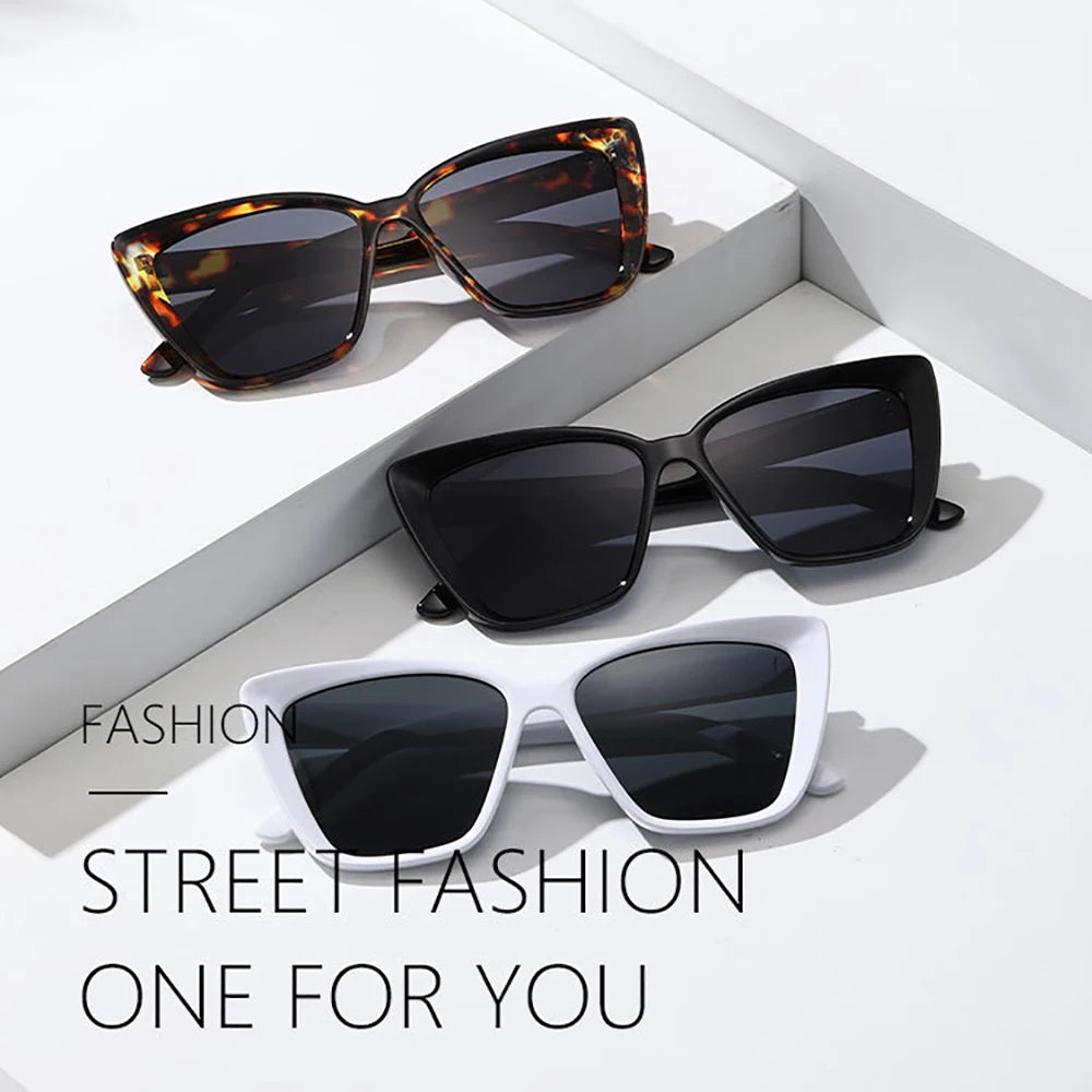2024 New Fashion Cat Eye Sunglasses for Men and Women