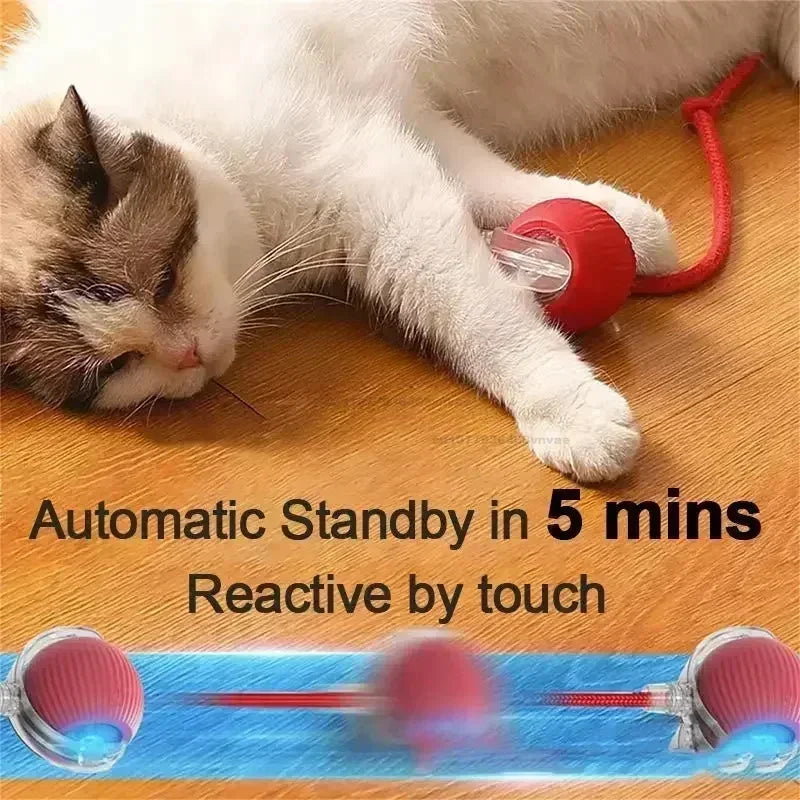 Cat Toys Interactive Ball Electronic Automatic Rolling Magic Ball