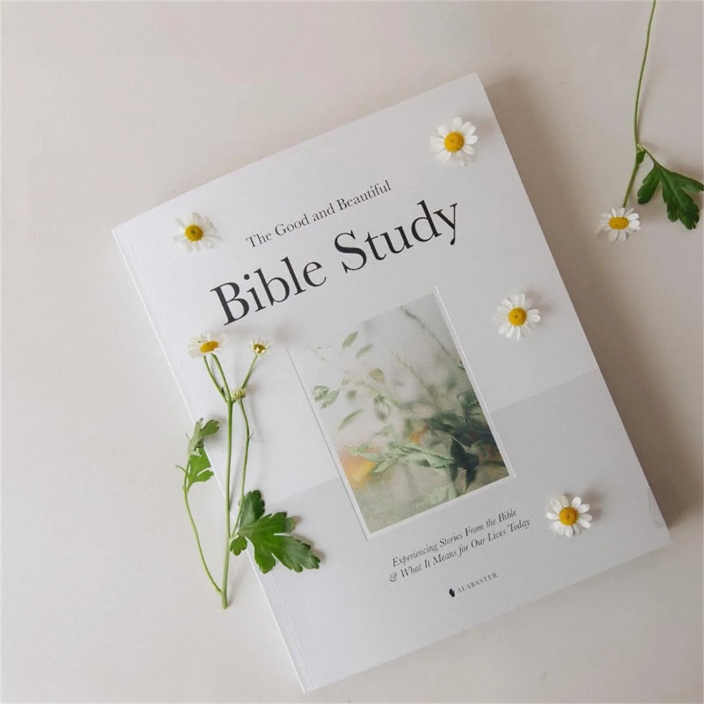 Easter Gift The Good and Beautiful Bible Study Book