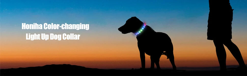 LED Luminous Dog Collar Waterproof USB Rechargeable Safety Light for Medium Large Small Dogs