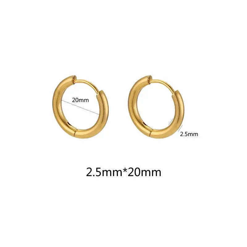 10pcs Stainless Steel Small Hoops Earring Piercing 8-20mm