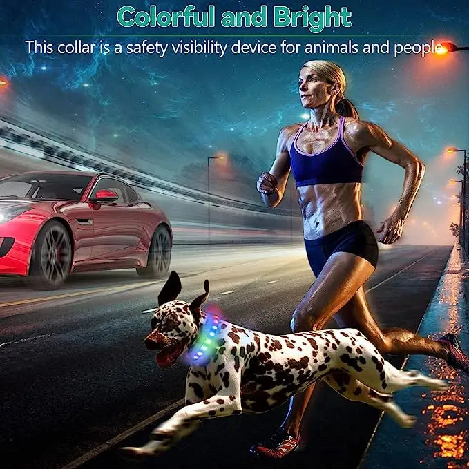 LED Luminous Dog Collar Waterproof USB Rechargeable Safety Light for Medium Large Small Dogs