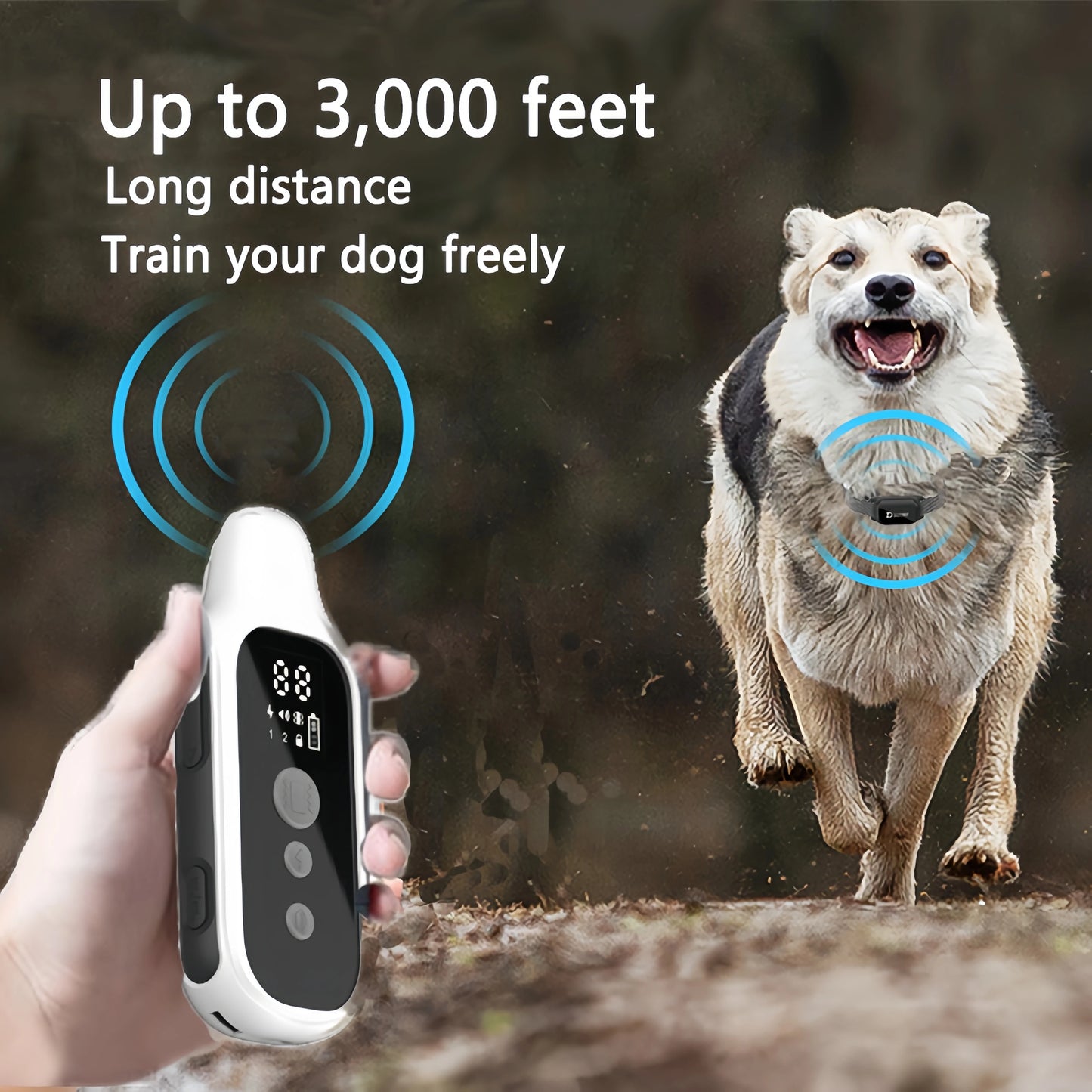 800m Waterproof Rechargeable Digital Dog Training Collar with Remote Control and LCD Display for All Sizes