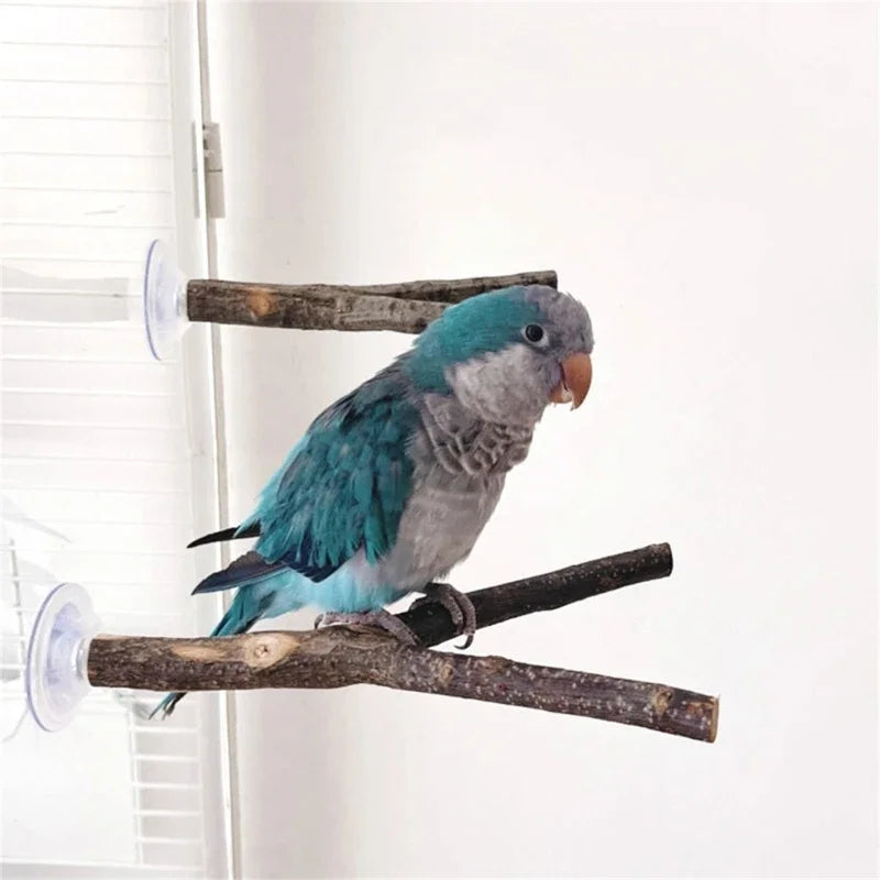 3pack Parrots Wall Bath Standing Rack Suction Cup Station Poles Interaction Toy for Budgies and Similar Birds
