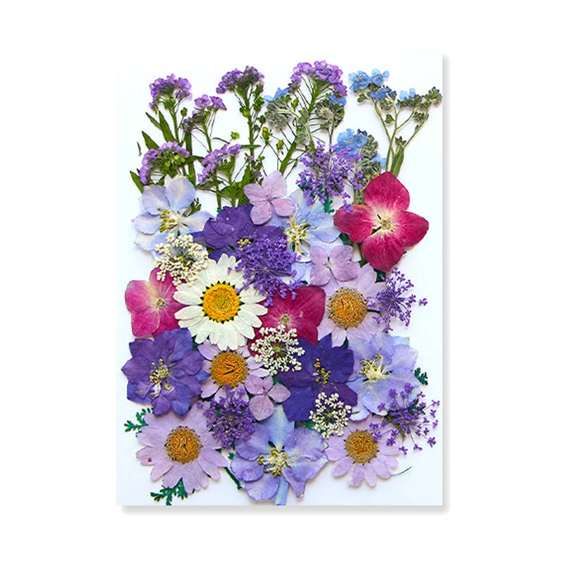 Dried Flowers Real Natural Plant Pressed Flower for Epoxy Resin DIY Keychain Pendant Jewelry Making