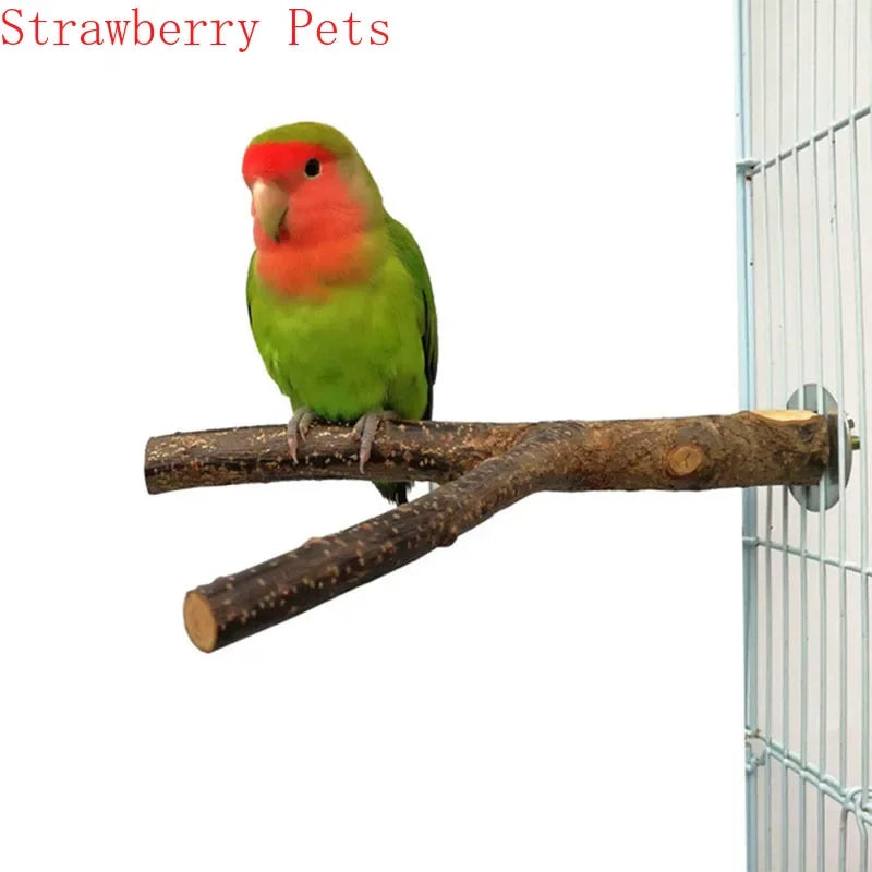 Natural Wood Pet Parrot Raw Wood Fork Tree Branch Stand Rack Squirrel Bird Hamster Branch Perches Chew Bite Toys Stick