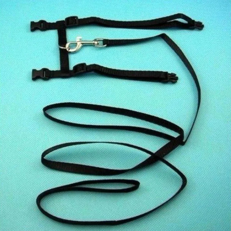 Cat Collar Harness Leash Adjustable Nylon Pet Traction Cat Kitten Dog Halter Collar gato Cats Products Pet Harness Belt