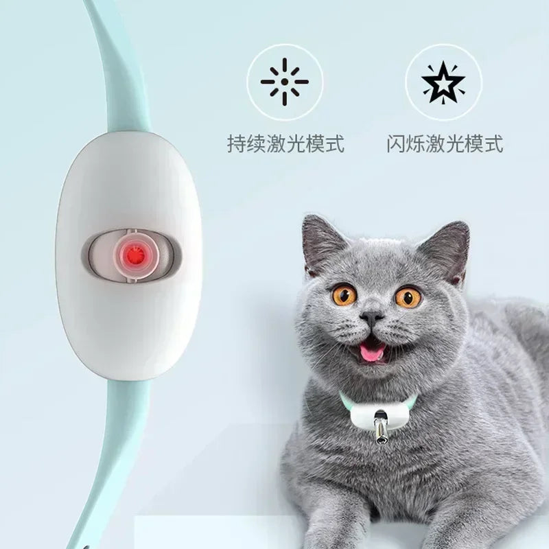 Rechargeable LED Pet Collar with Interactive Laser Teaser and Light-Up Function for Cats and Dogs