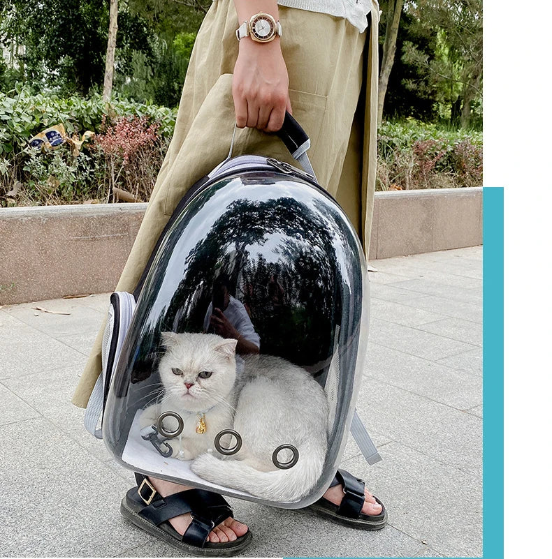 Breathable Transparent Pet Cat Carrying Bag Space Backpack