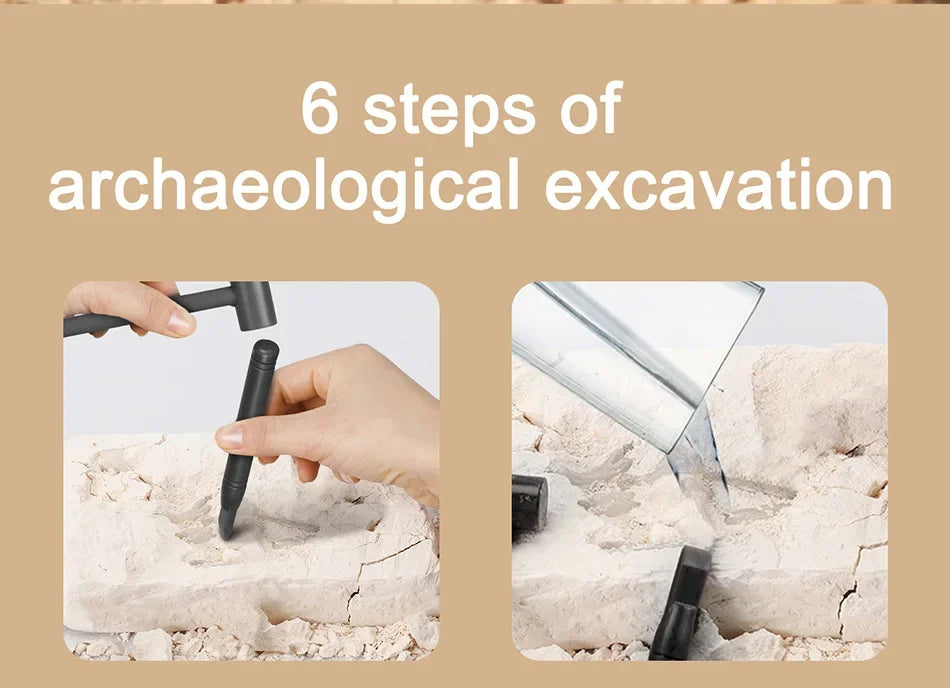 Dinosaur Fossil Excavation Kit for Kids Educational Archaeological Digging Adventure with Realistic Skeleton Models Perfect Gift for Boys and Girls