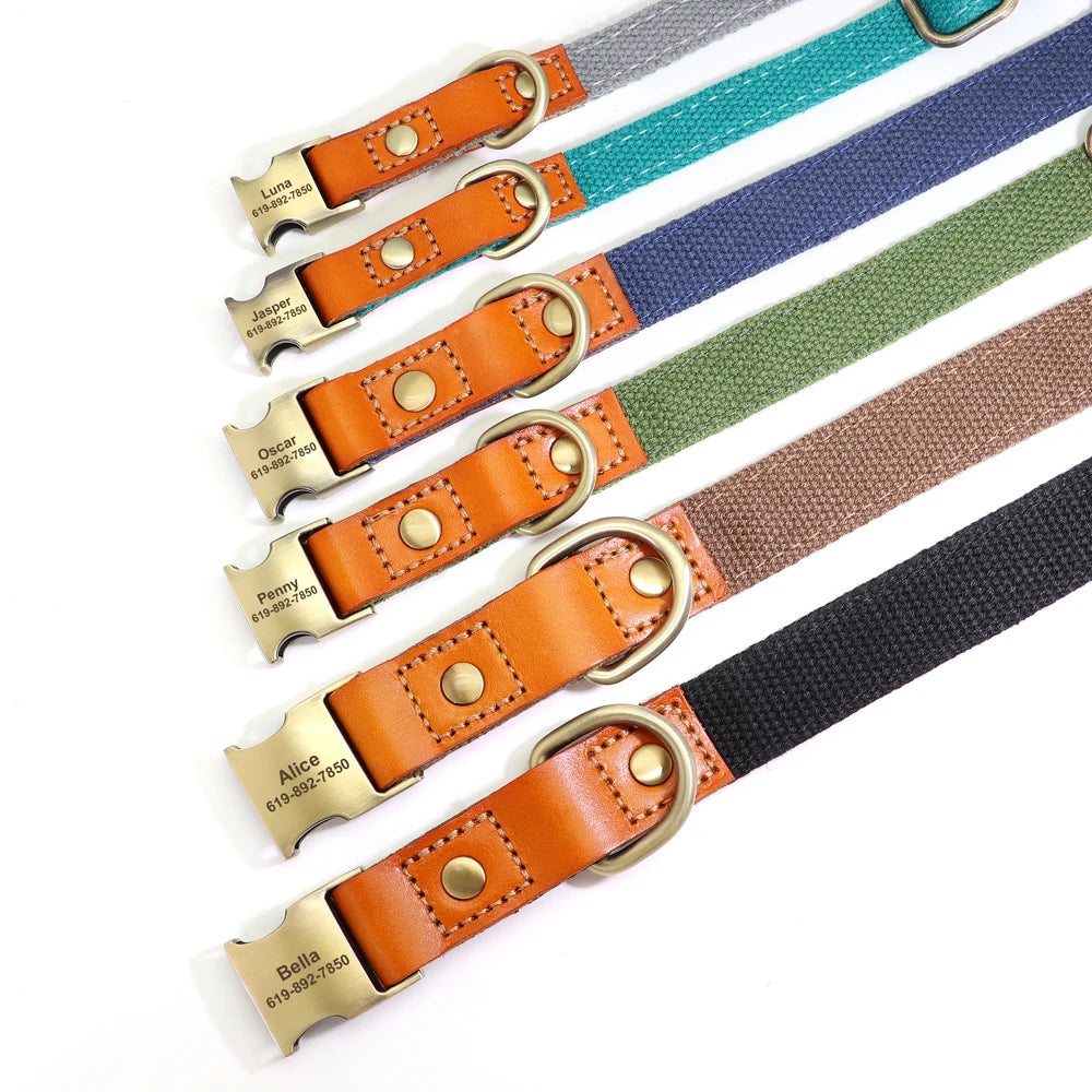 Nylon Custom Dog Collar and Leash Set with Personalized Genuine Leather Nameplate ID Tag for Puppies