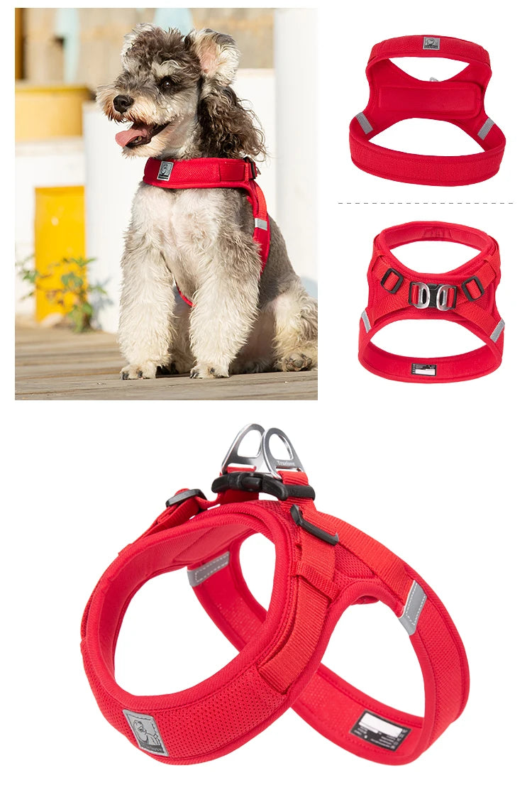 Truelove Adjustable Pet Harness for Small and Medium Dogs Breathable Nylon Mesh Outdoor Training Heavy Duty TLH3013