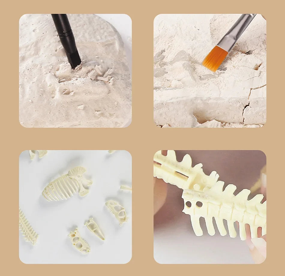 Dinosaur Fossil Excavation Kit for Kids Educational Archaeological Digging Adventure with Realistic Skeleton Models Perfect Gift for Boys and Girls