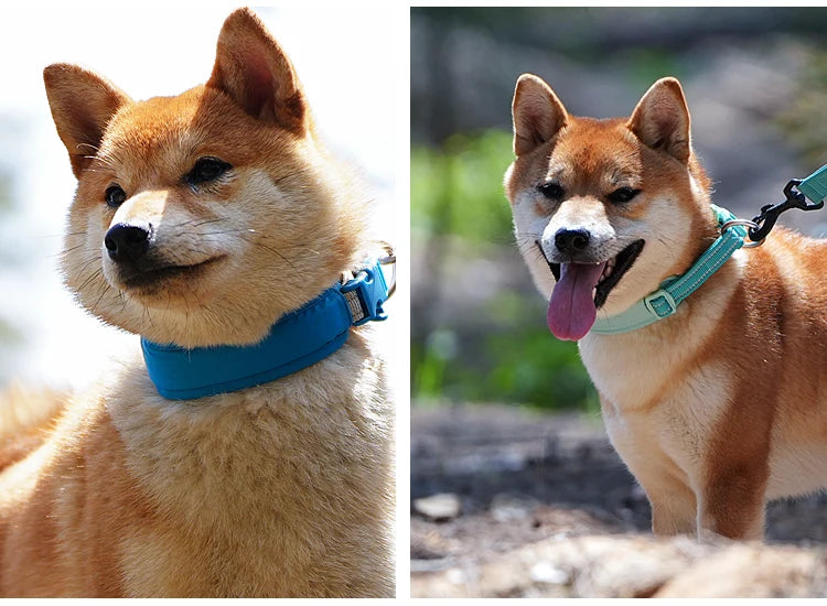 Personalized Adjustable Nylon Reflective Dog Collar with AirTag Holder for Small Medium and Large Dogs