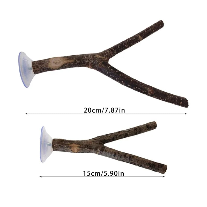 3pack Parrots Wall Bath Standing Rack Suction Cup Station Poles Interaction Toy for Budgies and Similar Birds