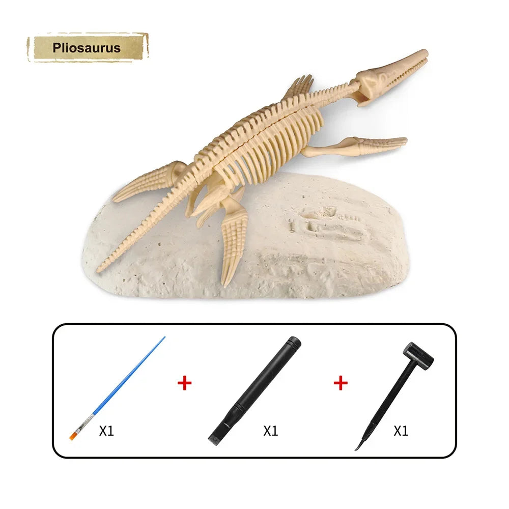 Dinosaur Fossil Excavation Kit for Kids Educational Archaeological Digging Adventure with Realistic Skeleton Models Perfect Gift for Boys and Girls