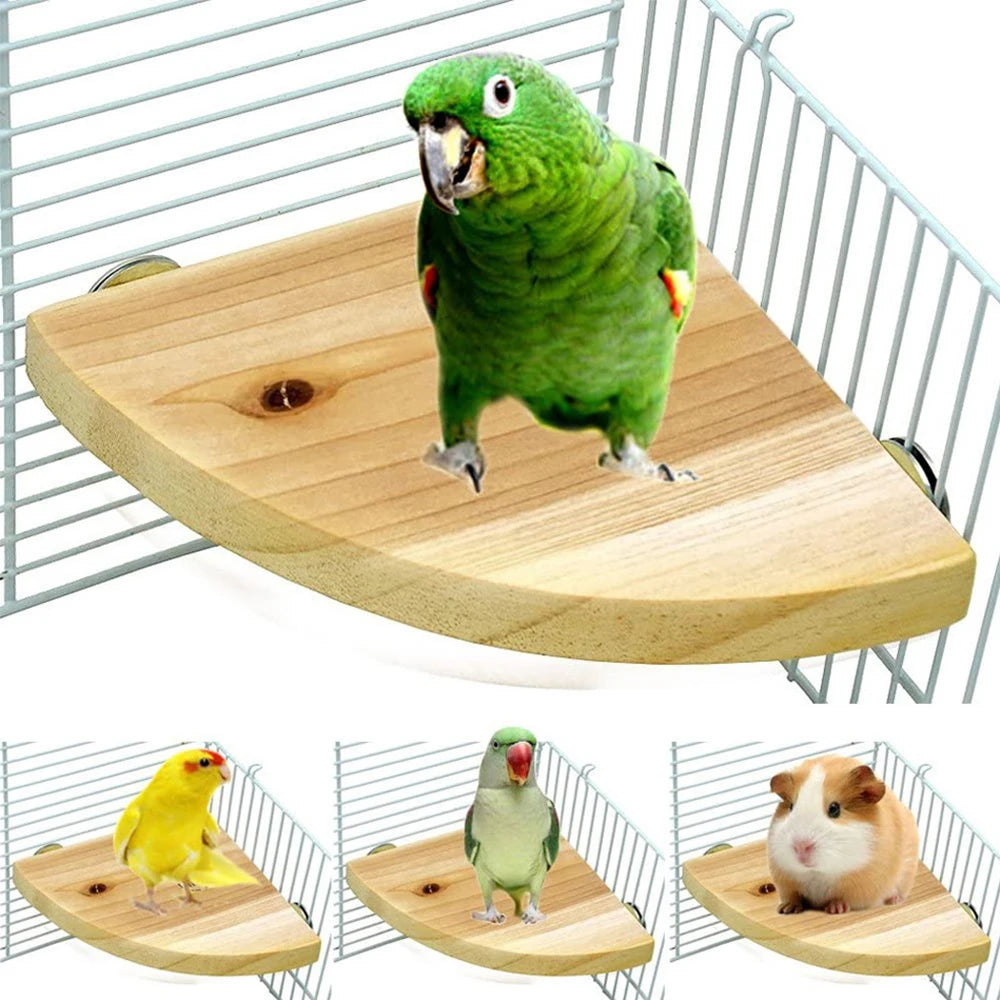 Fan-shaped Parrot Wooden Stand Rack Bird Cage Accessories Perch for Small Animal Chinchilla Squirrel Hamster Bird Stand Board
