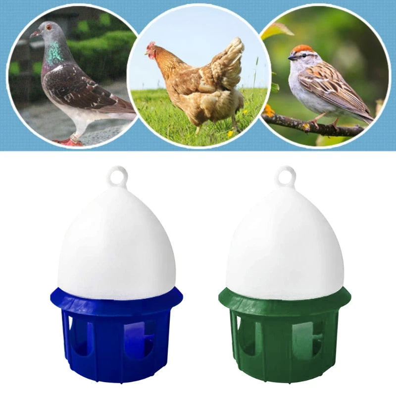 for Pigeon Water Dispenser Durable Plastic Drinker Safe for Birds 4/6/8/10L Capa