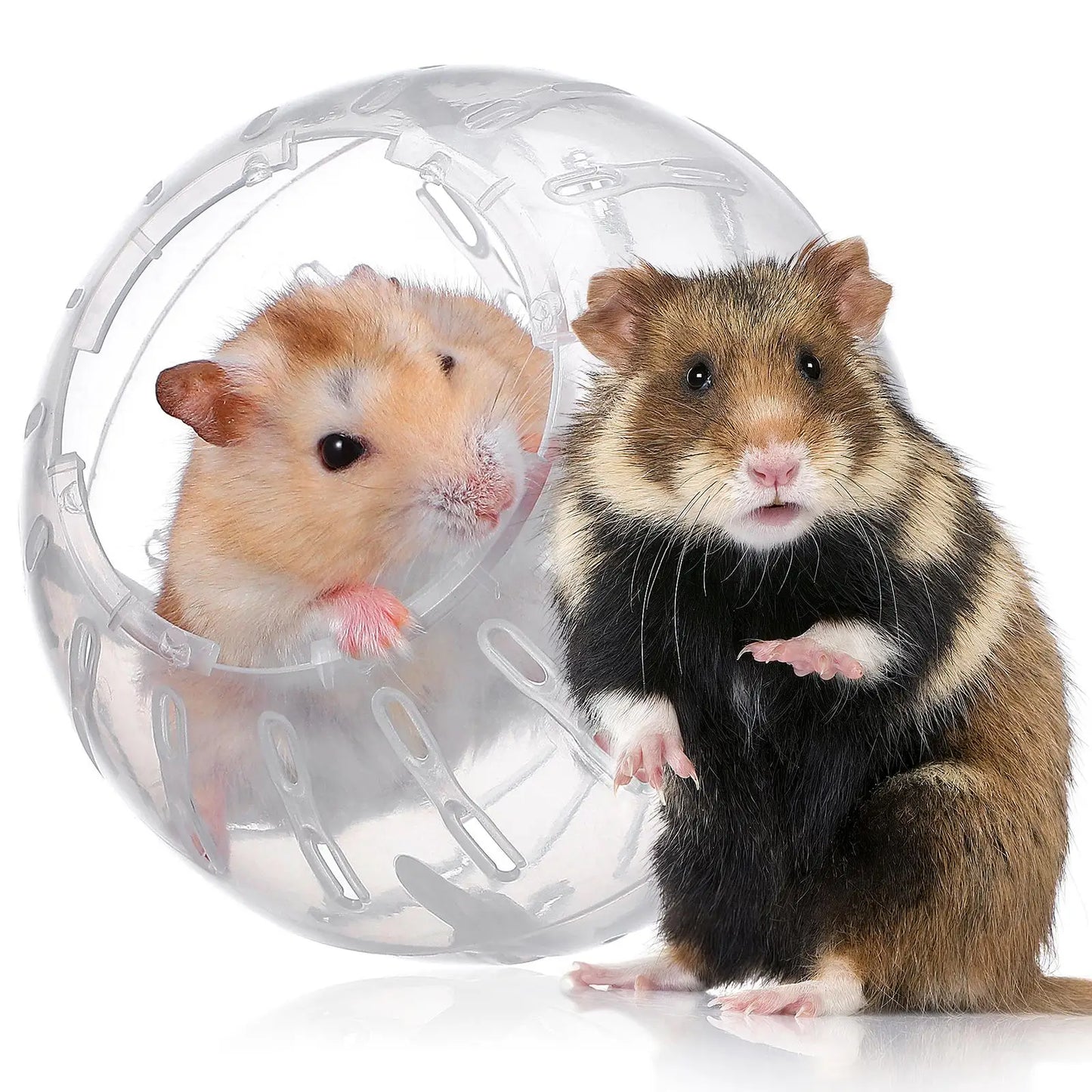 Mini Rolling Ball Toy Hamster Balls Detachable Dwarf Hamster Exercise Balls Sturdy Small Pet Supplies Clear Hamster Running