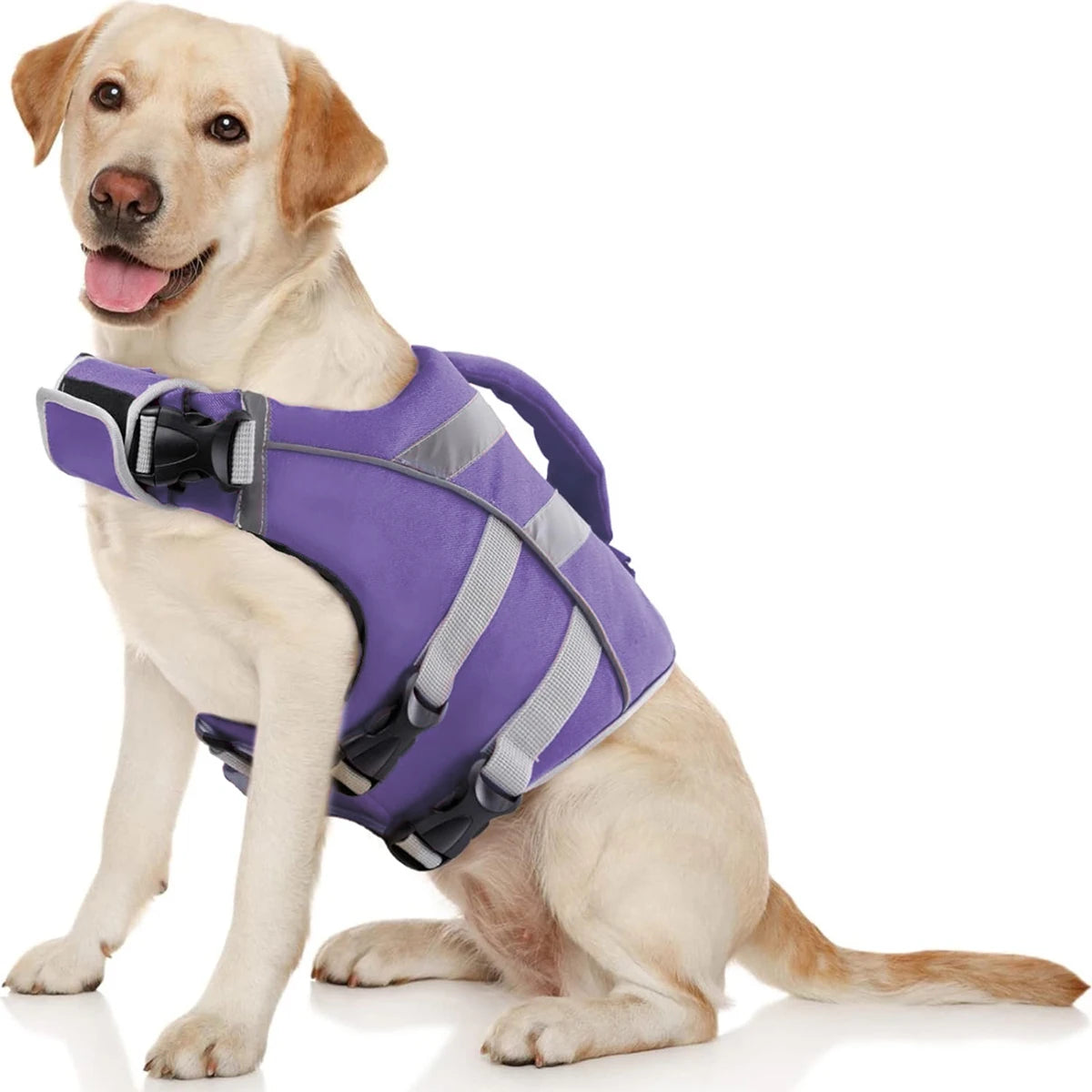 Ensure Your Dog's Water Adventures are Safe and Stylish: Premium Waterproof Dog Life Jacket with Reflective Stripes, Extra Stick