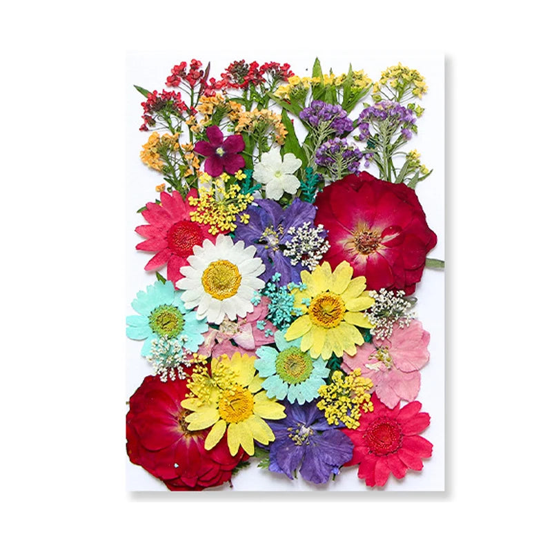 Dried Flowers Real Natural Plant Pressed Flower for Epoxy Resin DIY Keychain Pendant Jewelry Making