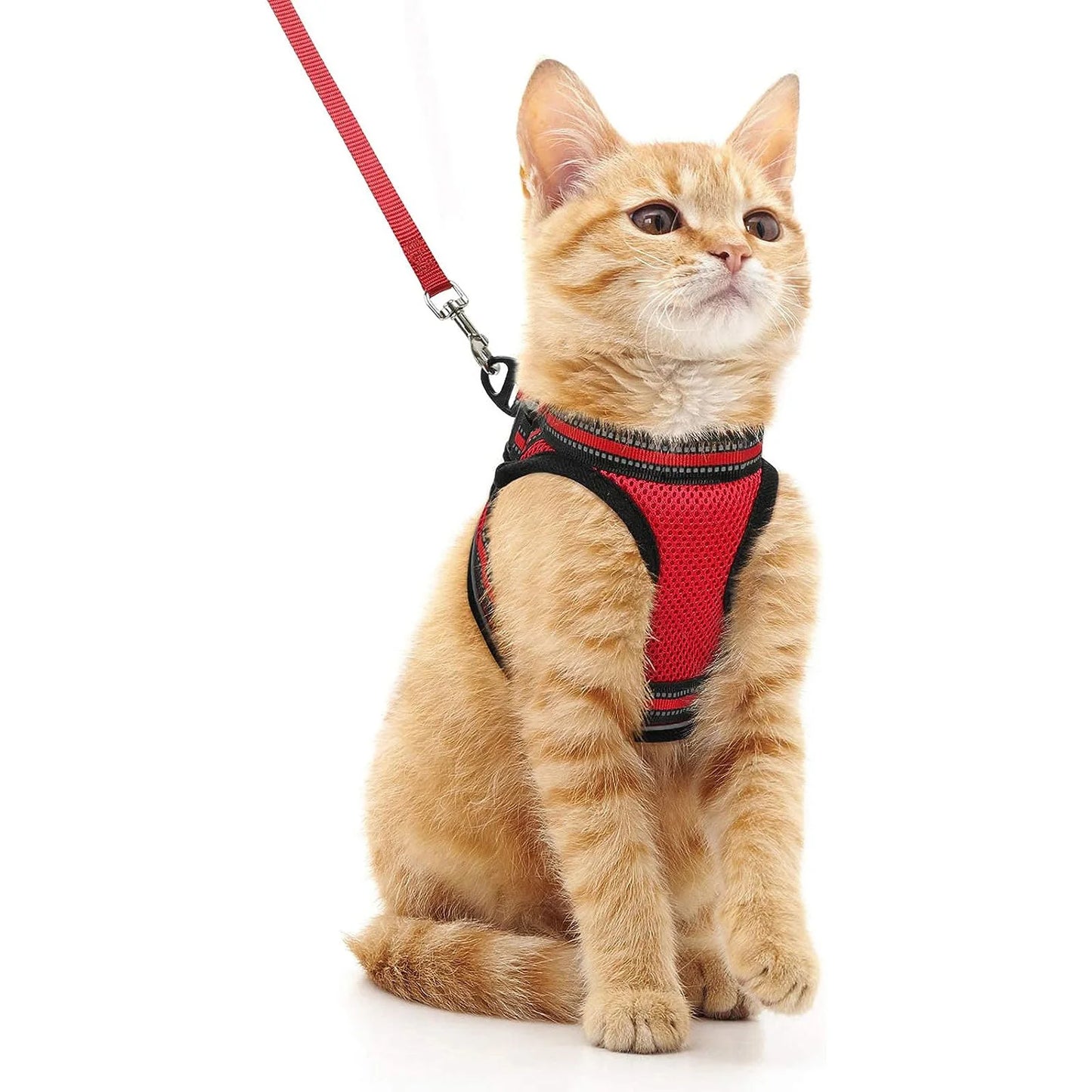 Cat Harness and Leash Set for Walking Escape Proof, Adjustable Soft Kittens Vest with Reflective Strip for Cats, Comfortable Out