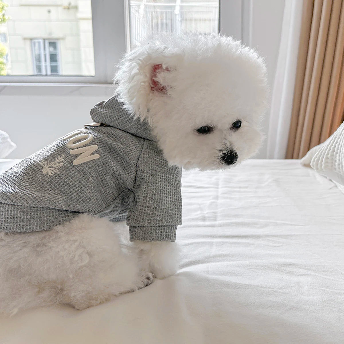 Pet Clothes Dog Cat Out Handsome Cute Casual Comfortable Spring Gray American Boston Sweater