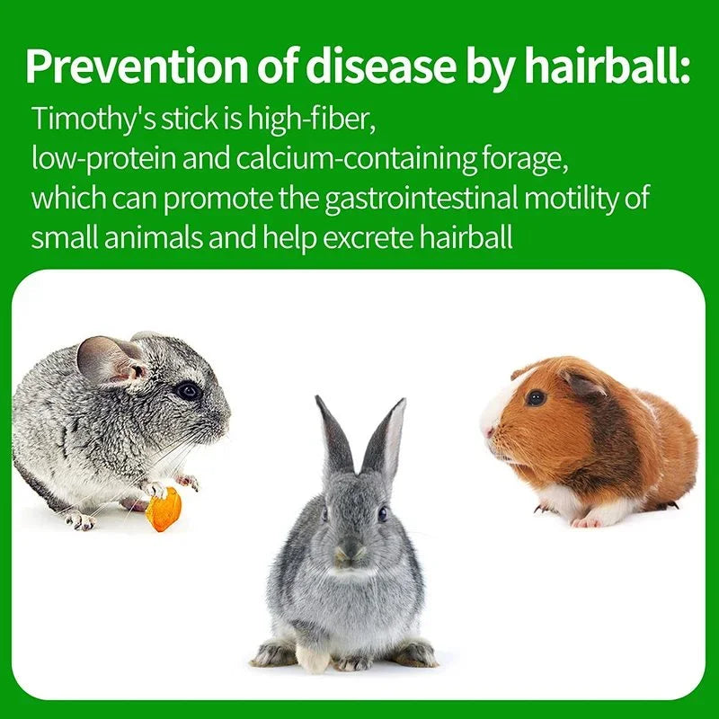 Pets Chewing Toys Carrot Timothy Hay Molar Sticks for Rabbits Guinea Pig Hamsters Chinchilla Bunny Chew Toys Teeth Treats