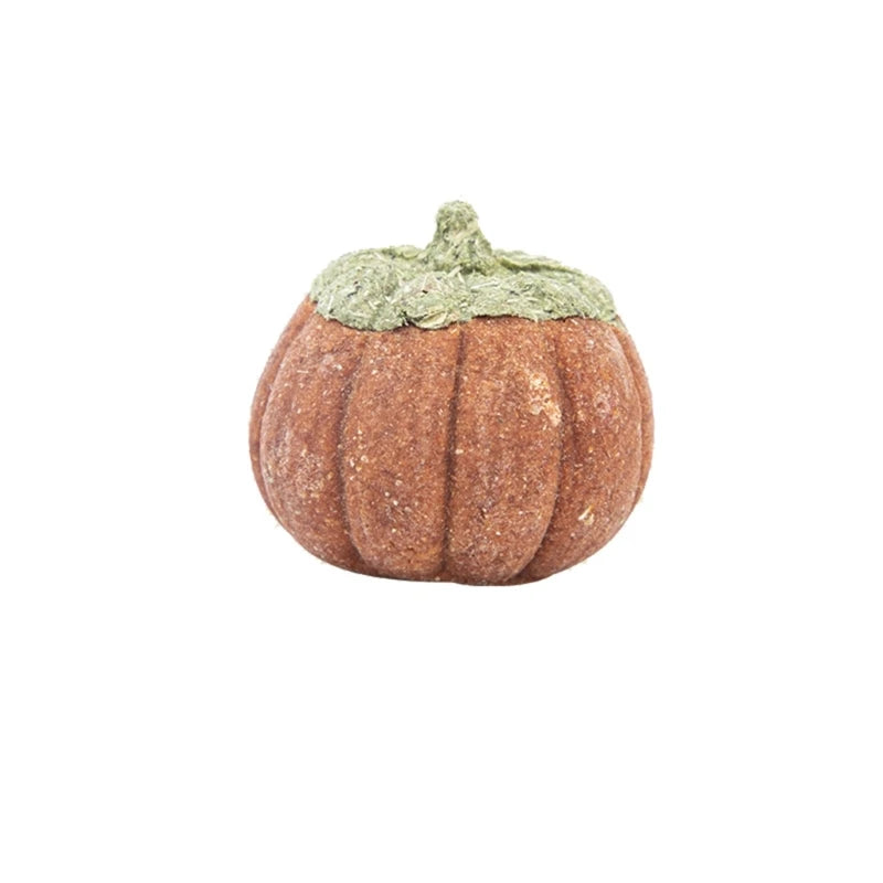 Hamster Treat Rabbit Chew Toy Animal Chew Carrots Natural Nutrient Molar Toy