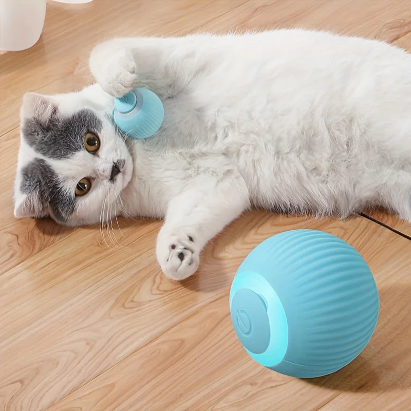 Power Ball Cat Toy - Interactive Smart Rolling Ball USB Charged