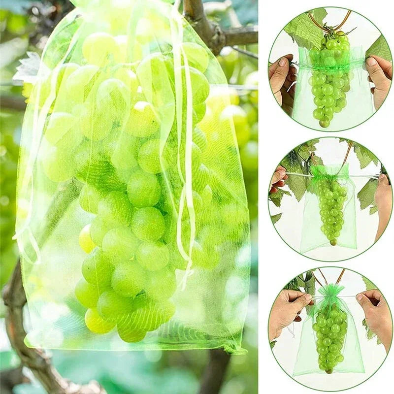 Bolsas de protección para uvas, bolsas de cultivo de malla, productos de control de plagas de frutas, bolsas de organza transpirables para plántulas de fresa, 50/100 unidades